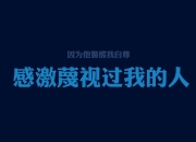 开云体育入口-布罗佐维奇的中场孤岛，当2026世界杯F组的唯一逻辑被一支欧洲大脑撕裂