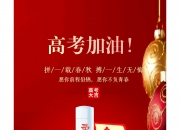 开云体育平台APP-关于中国军团出击，逐梦旗开得胜的信息