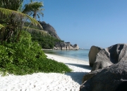 开云体育中国-双重爆发，小贾伦光芒下的森林狼逆转胜利