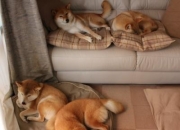 开云体育官网-世纪变奏，三个决定性的足球瞬间