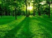 开云-冰与火的对决，一场波兰封锁如何定义了年度焦点之战