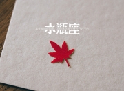 开云平台-何须十全十美，国家德比之夜，阿圭罗在限期内的永恒回响