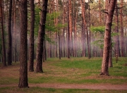 开云-南美狂飙遭遇安达卢西亚风暴，德里赫特一夫当关，铸就后防教科书