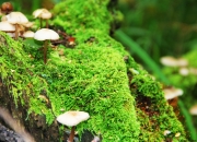 开云体育入口-门迪一夫当关，尤文图斯强势击溃哥斯达黎加