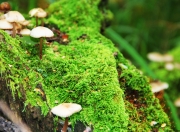 开云体育入口-门迪一夫当关，尤文图斯强势击溃哥斯达黎加