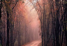 开云体育登录-巴尔韦德，打破战术棋盘的胜负手