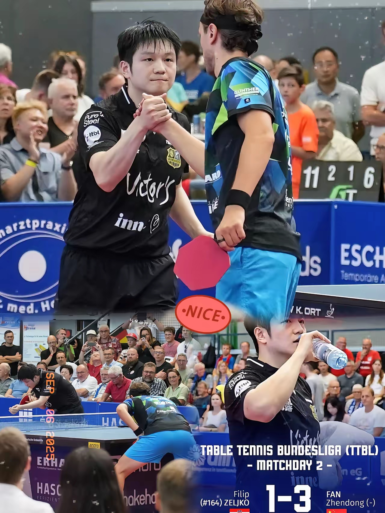 波兰队横扫日本队，樊振东统治全场