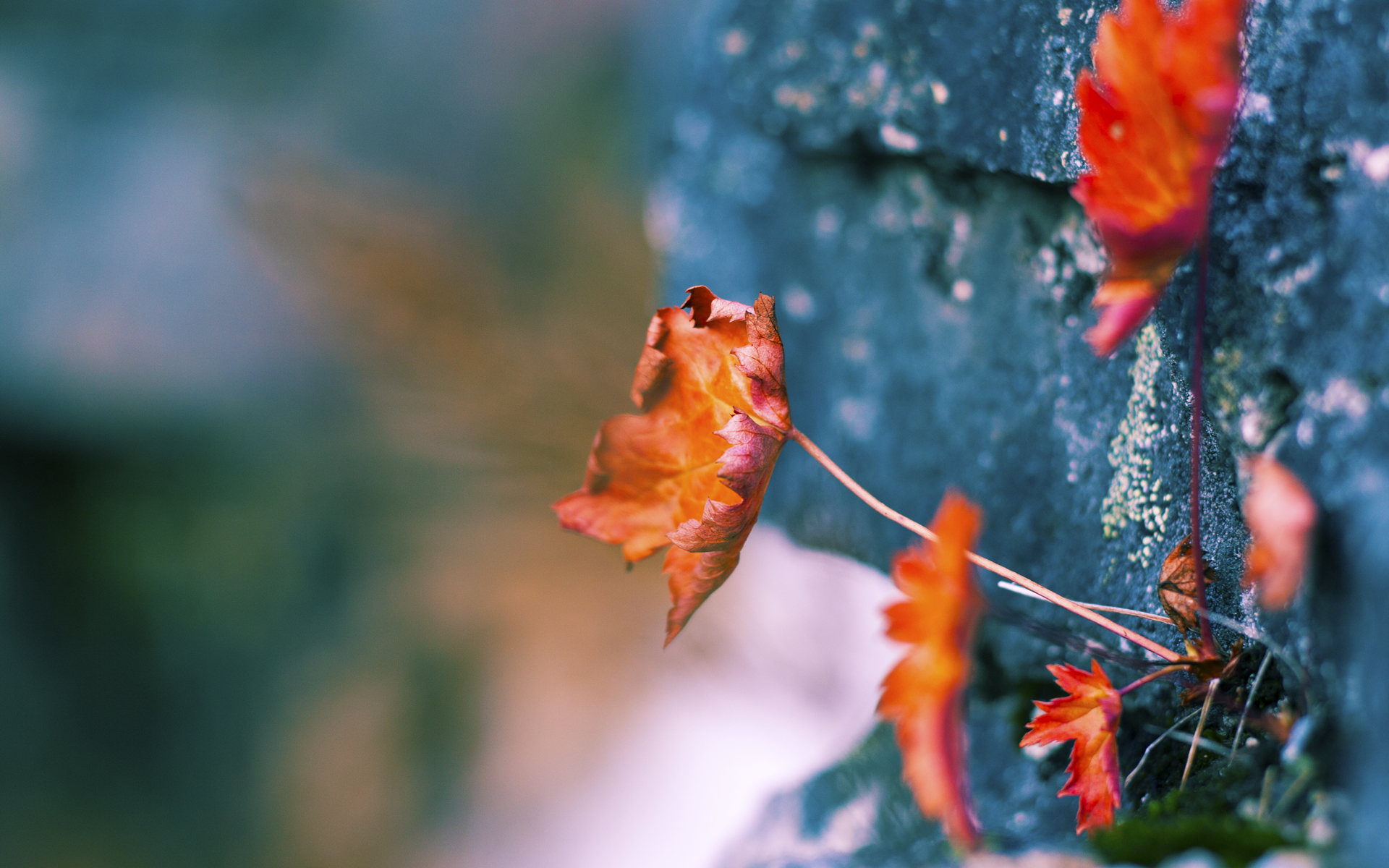 双线交错，凯尔特人稳健胜山西，哈登总决赛天神下凡