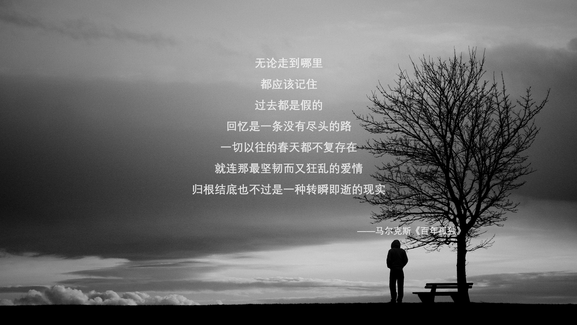 移民者之刃，当澳大利亚对阵塞内加尔，伊布精神如何在绿茵场持续制造文化杀伤