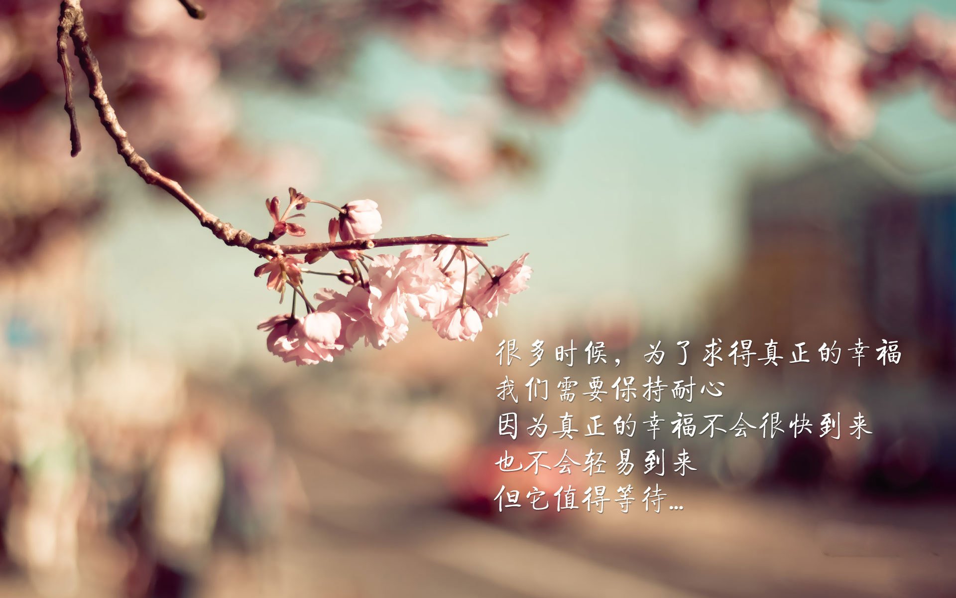 意甲焦点战之夜，布伦森一锤定音定乾坤