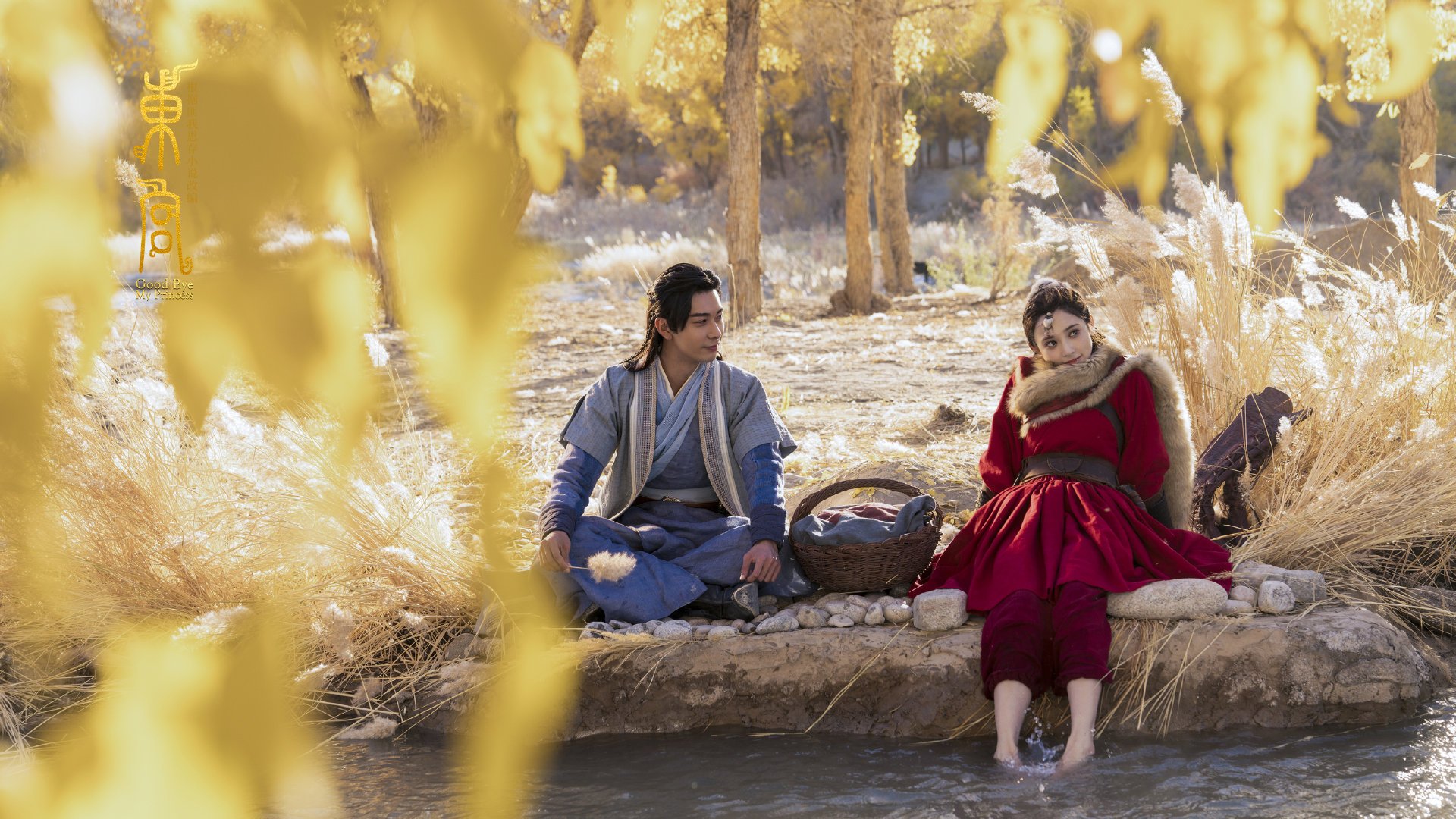 浙江队爆冷强势晋级国际杯四强，戈贝尔在世界排名争夺战中接管比赛助法国登顶