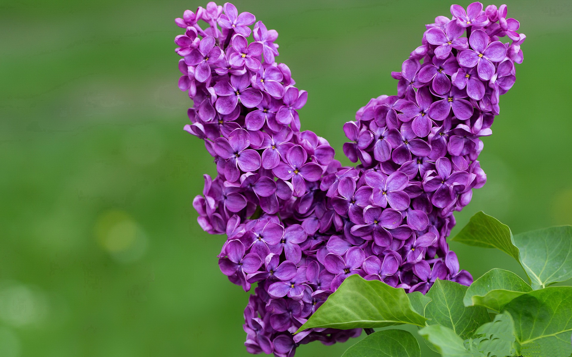从足球到篮球，曼城防守哲学在东决焦点战中的制胜钥匙