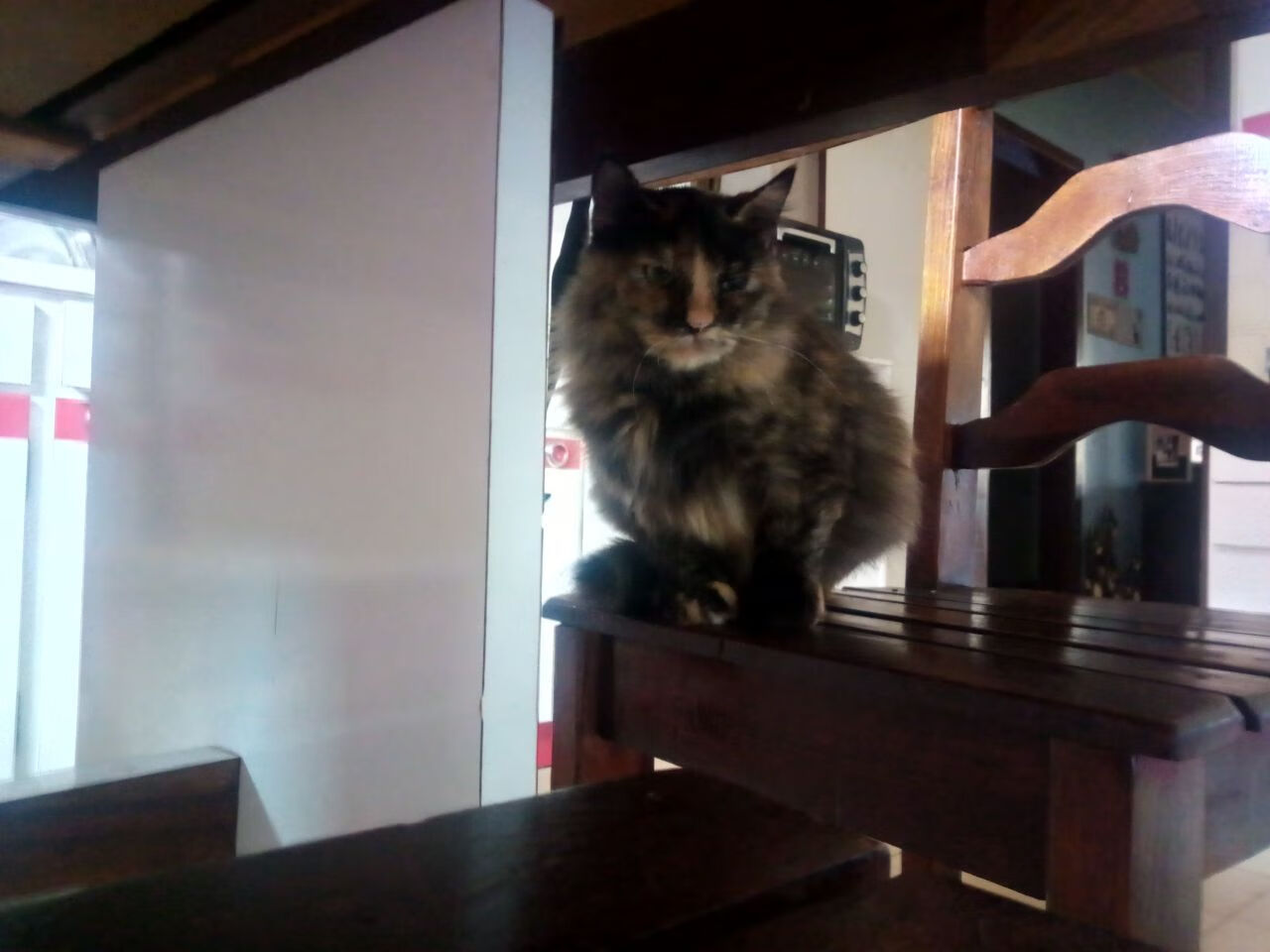 从智利铁索到法国密钥，卡马文加如何在2026世界杯锁死未来