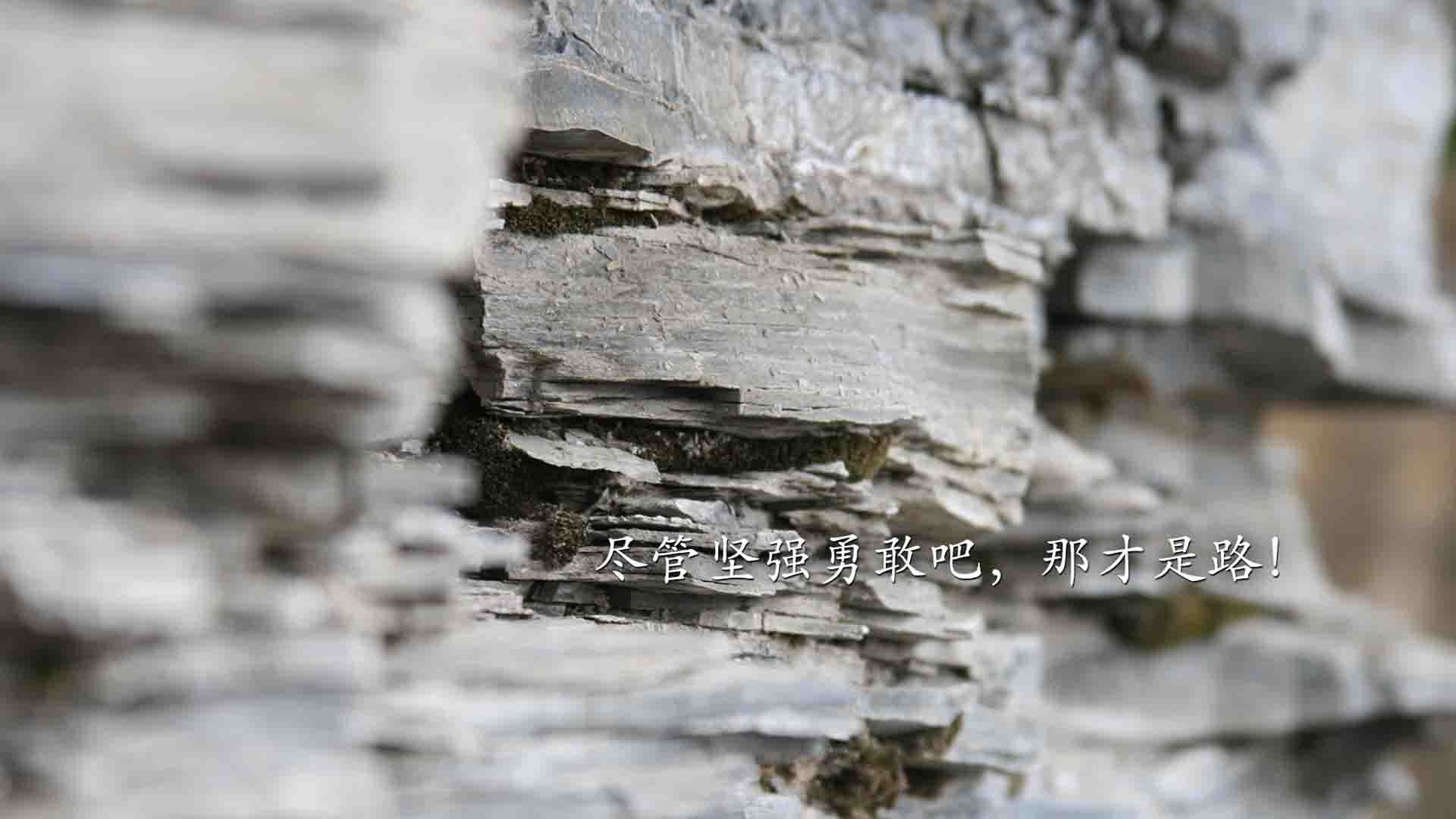 隐形引擎,绰号魔术师克莱如何用攻防转换的幽灵步伐让国王俯首称臣