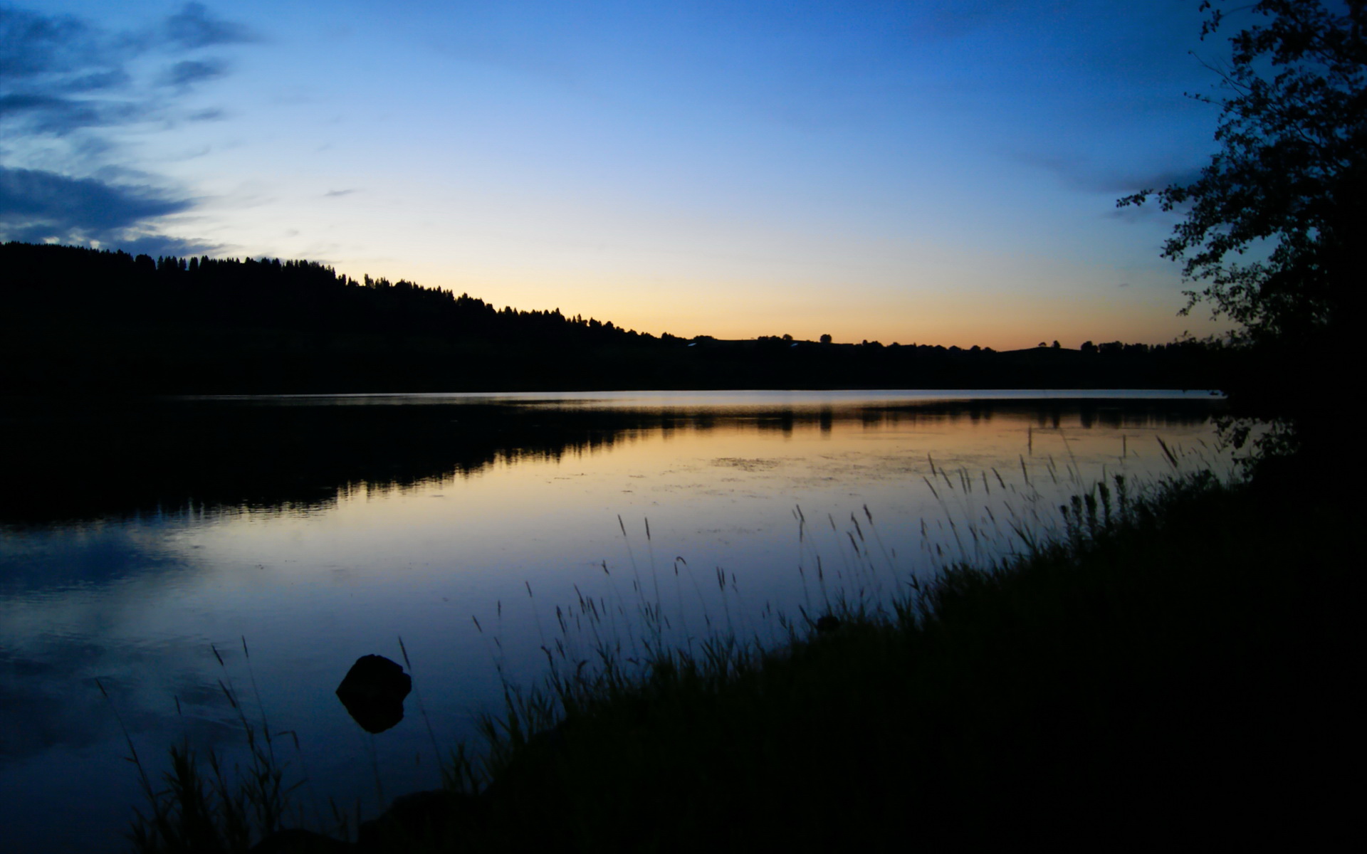 维尼修斯爆发撕裂防线，贝蒂斯绿白军团如何悄然粉碎葡萄牙偏见？