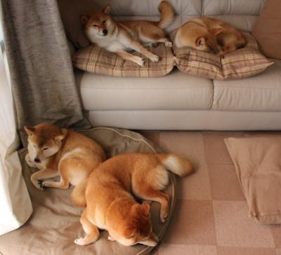 世纪变奏，三个决定性的足球瞬间