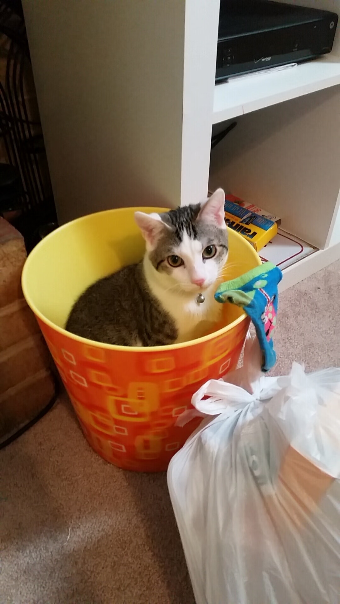 绿茵博弈，塞内加尔锋线风暴压制贝蒂斯，莫德里奇铁锁横江定乾坤