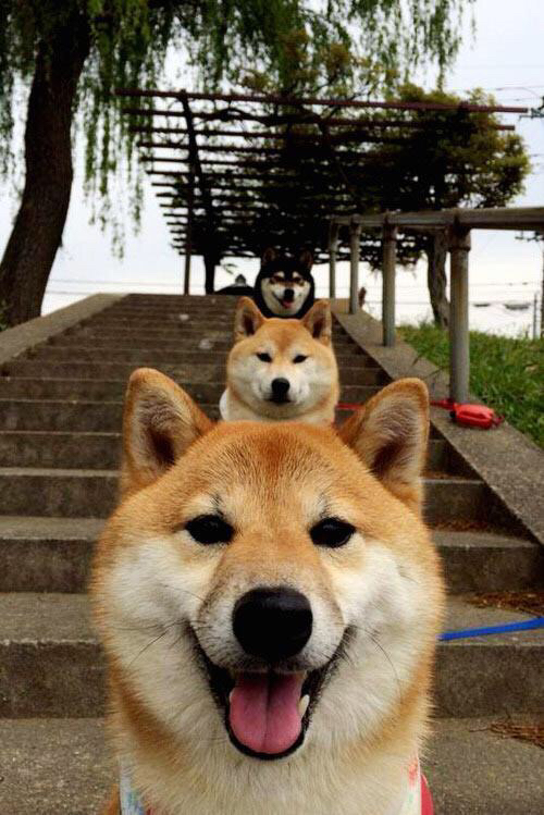 七十四分钟的终结者，罗马强行终结拉齐奥，恩佐的孤独闪耀让比赛提前失悬念