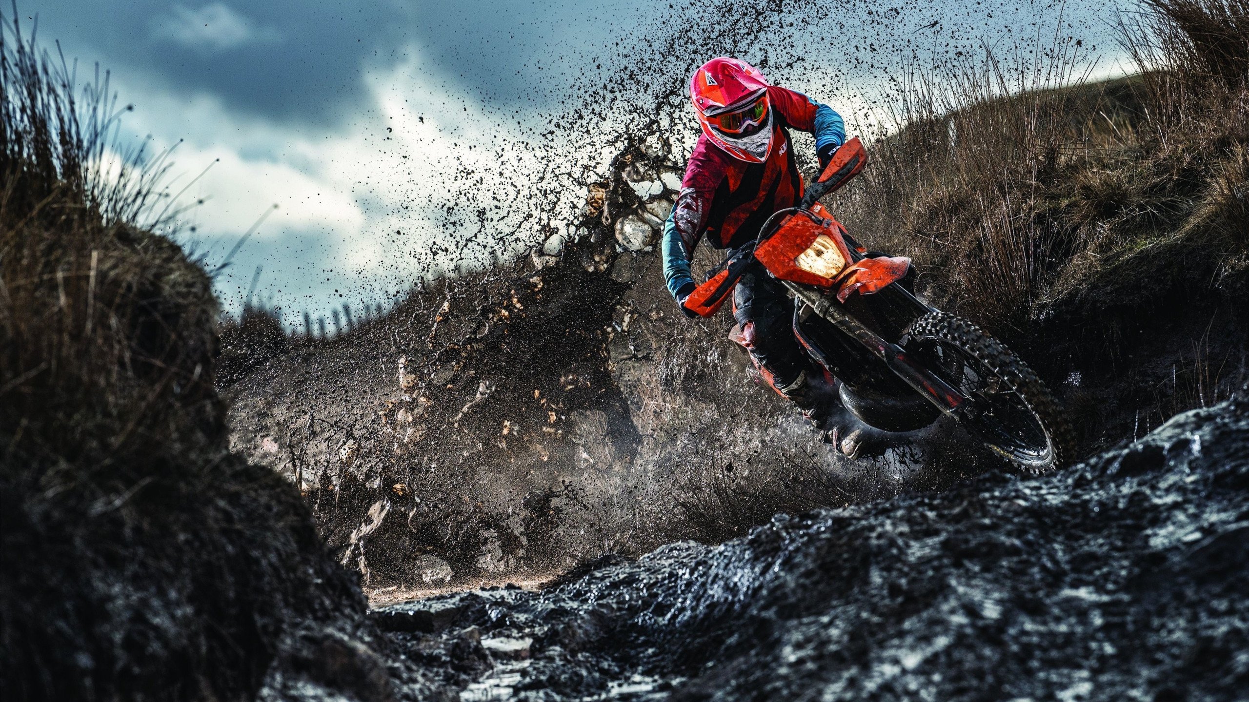 绿茵与硬木的交响，当欧冠绝平之夜遭遇雷霆万钧的逆转哲学