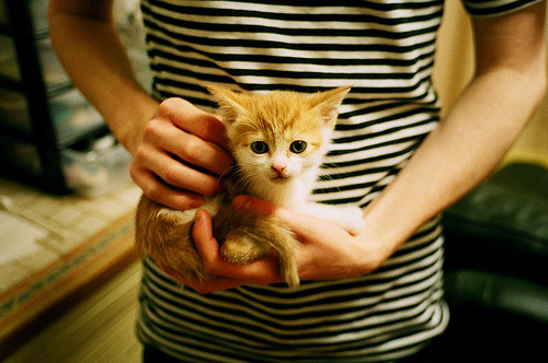 冰与火的碰撞！乔治末节17分导演逆转，公牛主场力克鹈鹕守住前六