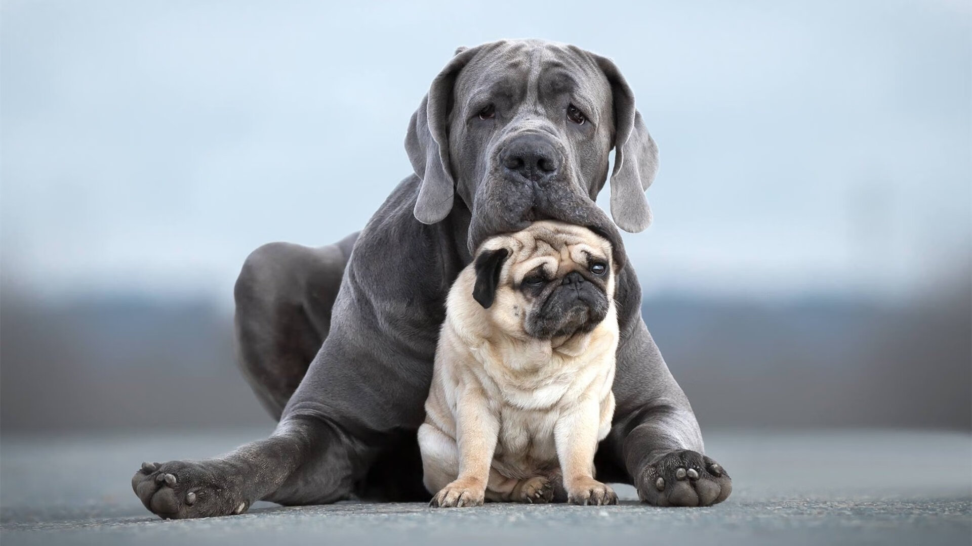 熔断之战！2026世界杯惊现AI裁判，山西队铁血冲垮76人王朝