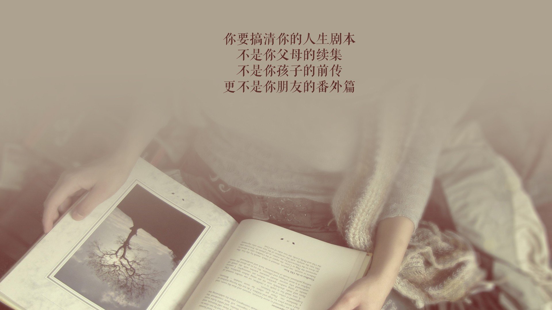 绝境中的太极虎，2026世界杯H组关键战，德容用信任点燃韩国，力克秘鲁改写命运